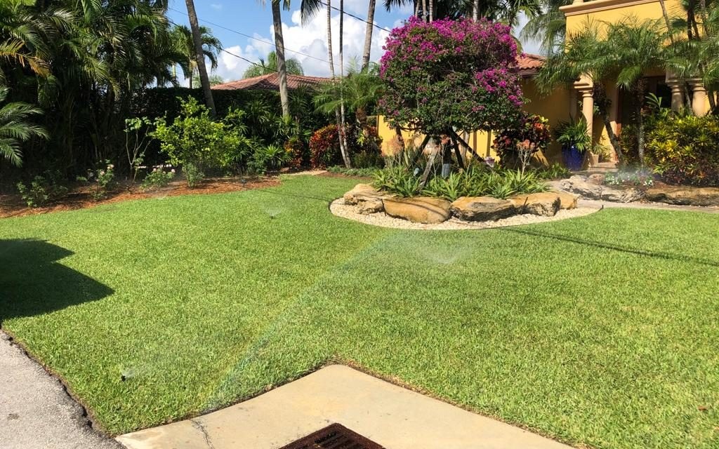 Irrigated green lawn and garden at a Fort Lauderdale home