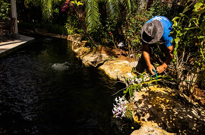 Dan Ramos crew member tending plants beside a garden pond