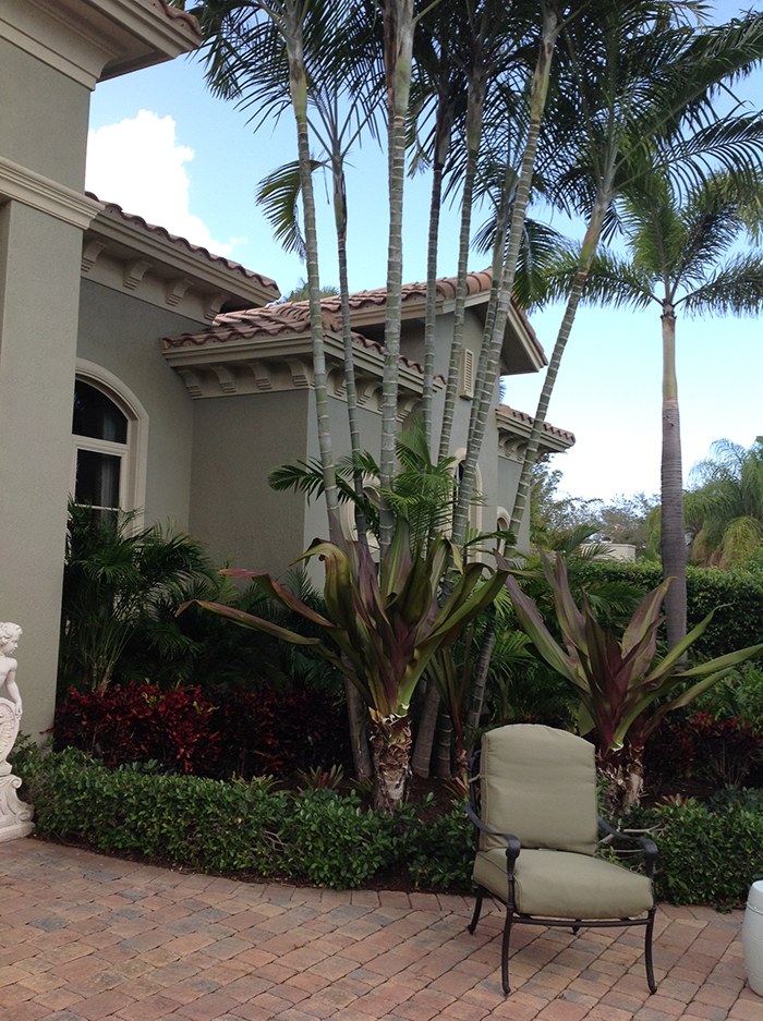 Tropical planting and brick patio beside a Fort Lauderdale home