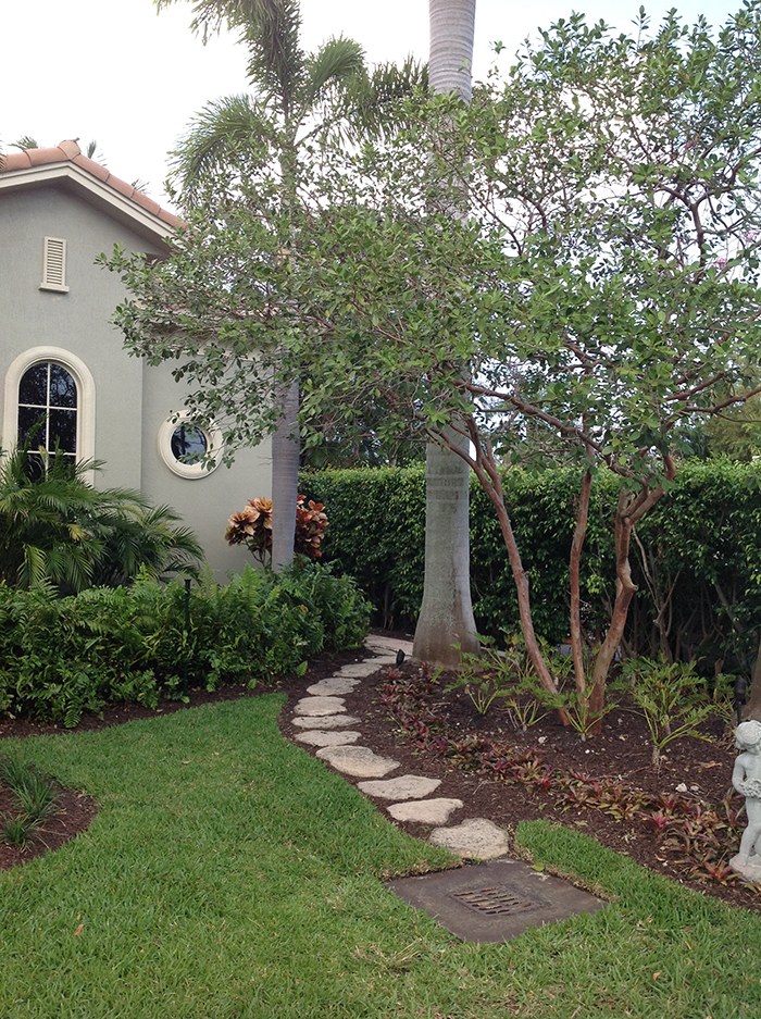 Stepping-stone path through a landscaped residential garden