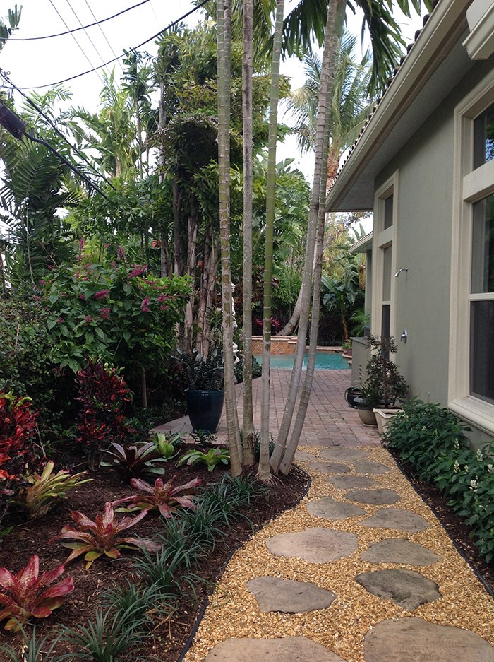 Stone walkway and tropical planting along the side of a home