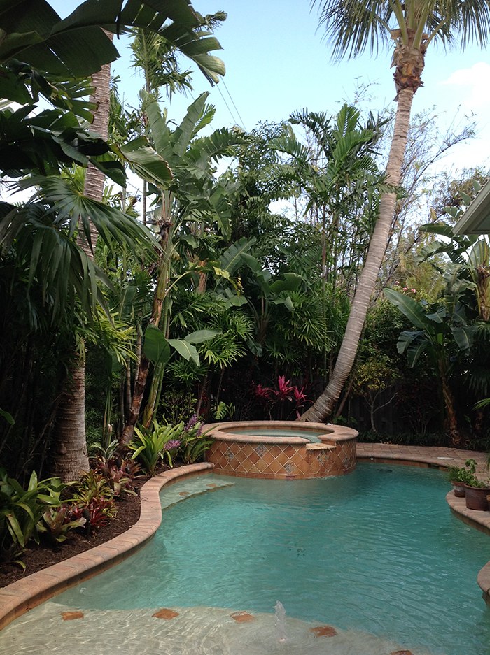 Pool and spa surrounded by dense tropical planting