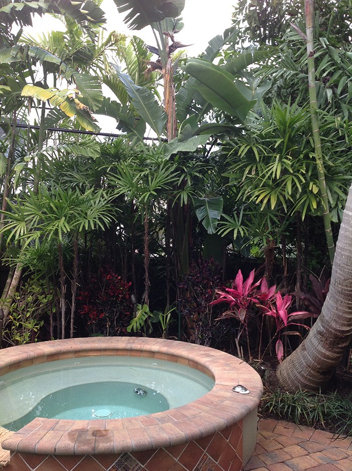 Raised garden spa surrounded by tropical foliage