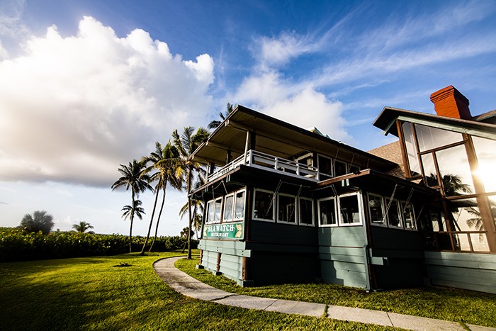 Landscaped commercial property with lawn and palms in South Florida