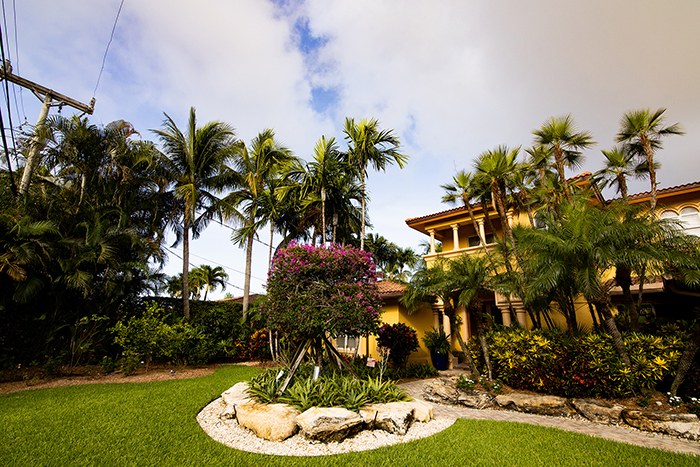 Modern home with a long pool and palm planting