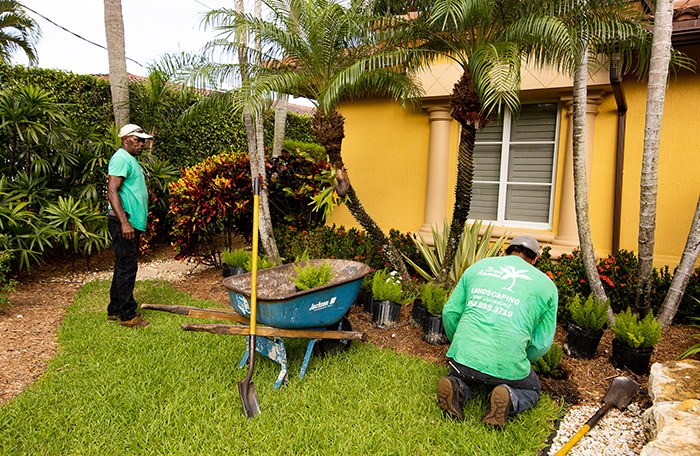 Dan Ramos crew planting at a yellow Fort Lauderdale home